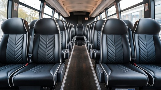 28 passenger minibus rental