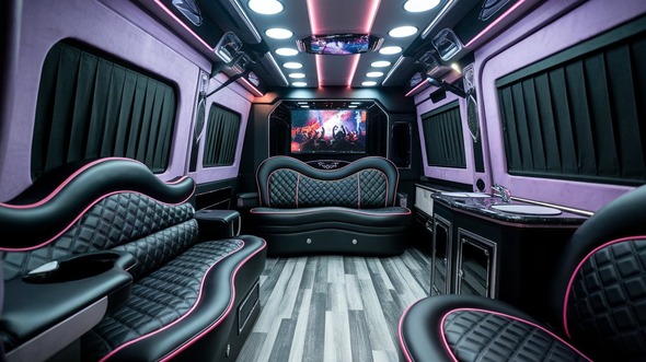 carmel sprinter limo rental interior