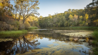 cheeney creek natural area