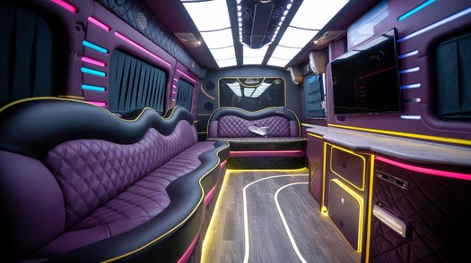 sprinter limo rental interior